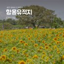 항몽유적지 이미지