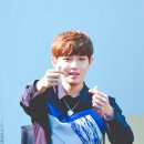 투마럽