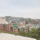 19년도 술이 술을 마시는 이 십세