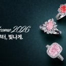 디자인플러스앤