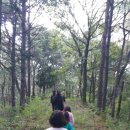 도토리숲속학교 이미지