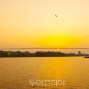 대도교통(주) 이미지