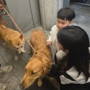 미장하나어린이집 | [일기] 26.05.04~10 / 어린이날과 어버이날의 콜라보, 꿀꿀이가 되어가는 중