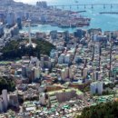 부산광역시 중구청 이미지
