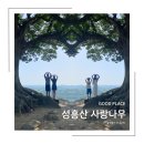 성흥로97번길 이미지