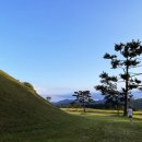 왕릉김밥 이미지