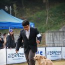매니아클럽 이미지