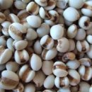 자연향한의원 이미지