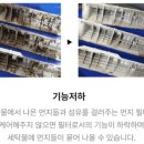 신정써비스