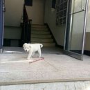 옥구지구대 이미지