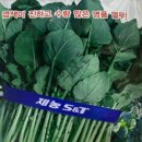 신토담이 네이버블로그
