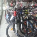 [대전]삼천리 레스포자전거 새제품 저렴하게 팝니다 이미지