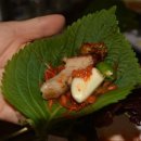 마담PC 이미지