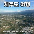 청림돼지국밥 | 제주여행 리뷰! 맛집 카페 여행지 추천(내돈내산 리뷰)