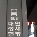 낙지와지짐이