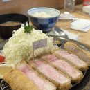 톤쇼우