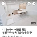 니니스테이 이미지