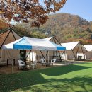 (주)쉐르빌리안티티 이미지