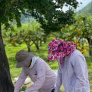 한은농장 이미지