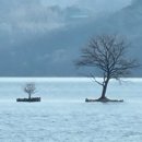 내 안의 블루(Blue)/윤외기 이미지