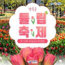 장흥군 하늘빛수목정원 튤립축제(4/7~4/23) 이미지