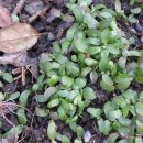 푸른소아청소년과의원 이미지