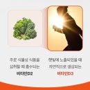 ☀️한국인 특 비타민D 부족함☀️종근당건강 비타민D 2000IU 후기💊취준생, 직장인, 임신 준비 추천