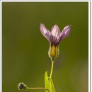 유심농장 이미지