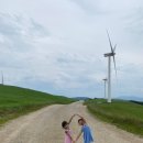 높은터목장 이미지