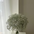 발레나플라워 이미지