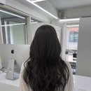 자연광에서 더 예쁜 매트브라운, 샵꽁뜨 예원쌤 후기