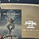 영광센터 9호 | 백조의 호수 매튜본 발레 내한 공연 LG아트센터 시그니처석 서울 뮤지컬 관람 후기