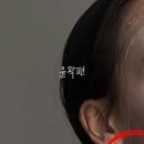 르디브