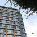 올레관광호텔 이미지