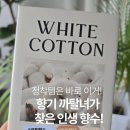 화이트코튼 | 향수 유목민 정착템! 향기 까탈녀가 극찬한 포엘리에 화이트 코튼 향수 후기