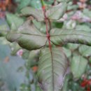 진주산소 이미지