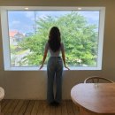 까꼬뽀꼬 이미지