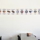 집현동_새나루 1단지 앞 이미지