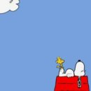 용신72 이미지