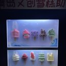 오월자판기