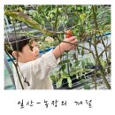 다올농장 | 일산 농장의 계절 - 주말 아이와 가볼 만한 농장 체험 후기