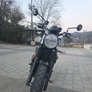 현대오토바이 | 트라이엄프 스크램블러 900 오토바이 탁송 후기｜클래식 바이크 탁송 포인트 정리