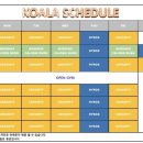 크로스핏 코알라 이미지