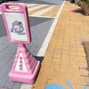 세븐일레븐인천가좌가나점 | 인천 이색카페 인천 솜사탕 꼬리별솜사탕에서 수제 솜사탕 팝콘 먹은 후기