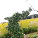 (주)연희프라자 이미지