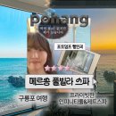경북 포항 풀빌라 구룡포 펜션 메르송풀앤스파 내돈내산 솔직후기