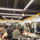 오늘다짐PT 이미지