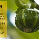 땅끝농장식품