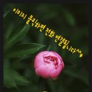 이민자공인중개사사무소 이미지