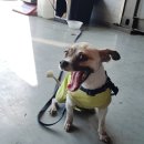 금호타이어 여수대리점 이미지